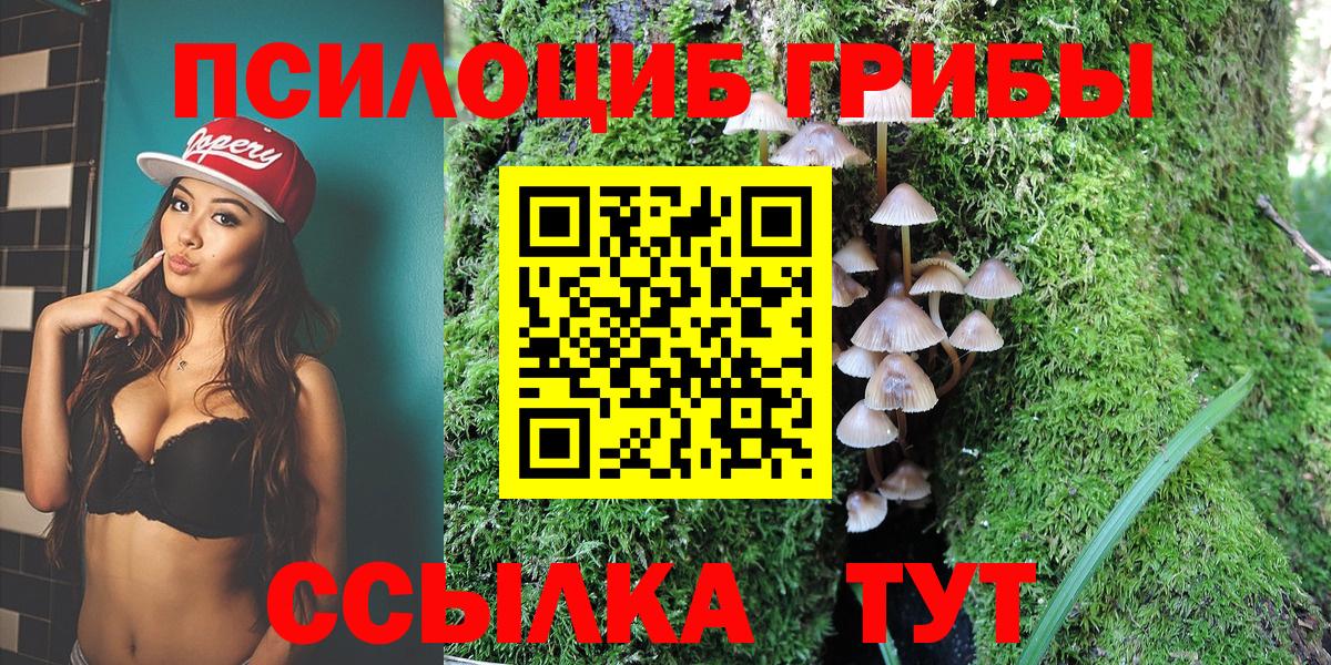 Янаул  Галлюциногенные грибы MAGIC MUSHROOMS  Вход с VPN  Псилоцибиновые грибы Psilocybe 