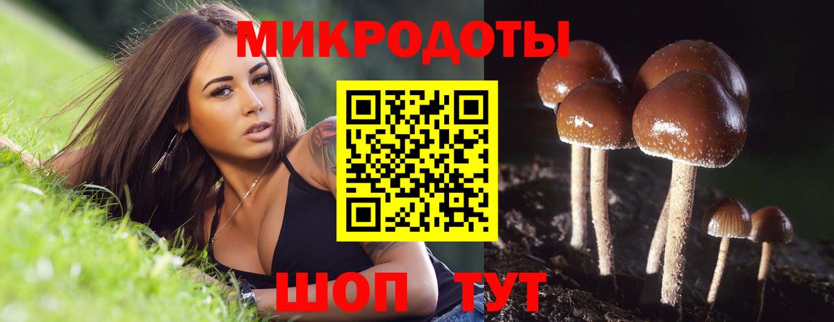 Галлюциногенные грибы GOLDEN TEACHER Янаул
